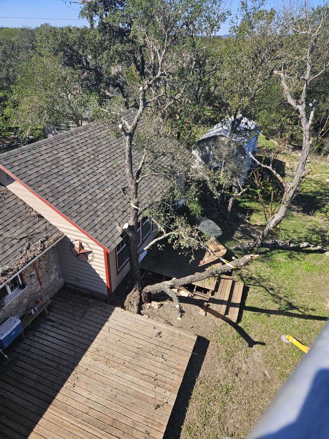 Tree Trimming Near Me