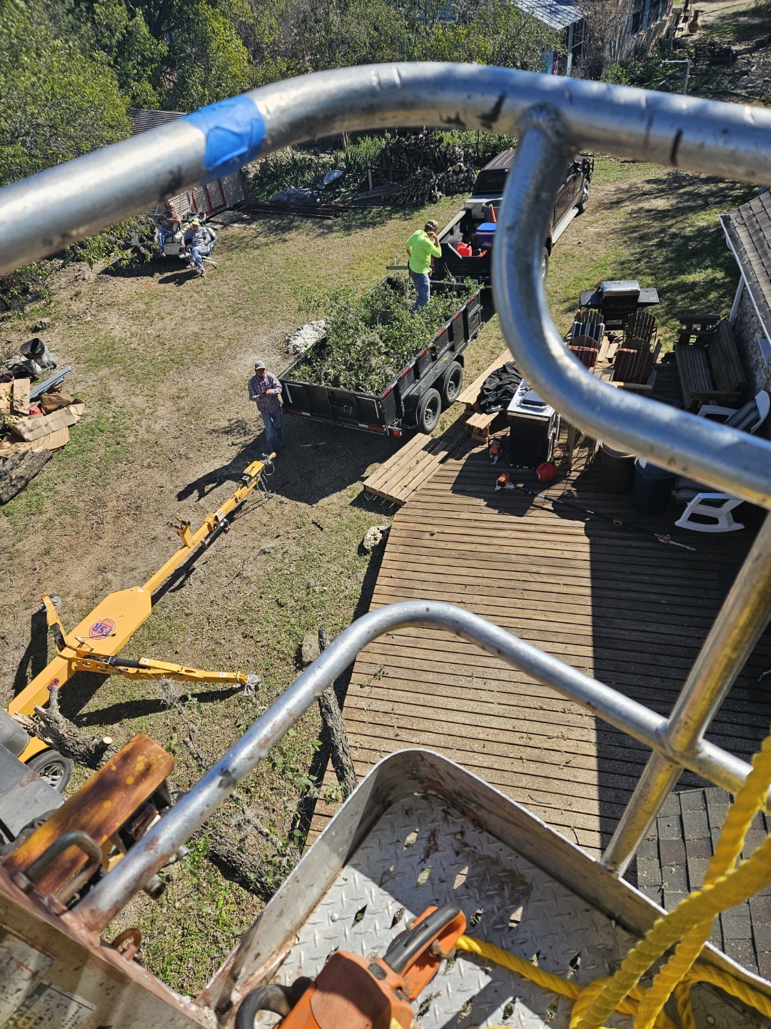 Tree Trimming Near Me