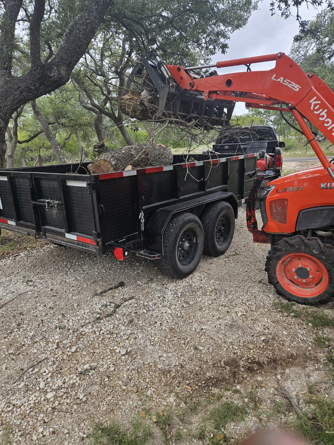 Tree Cutting Service