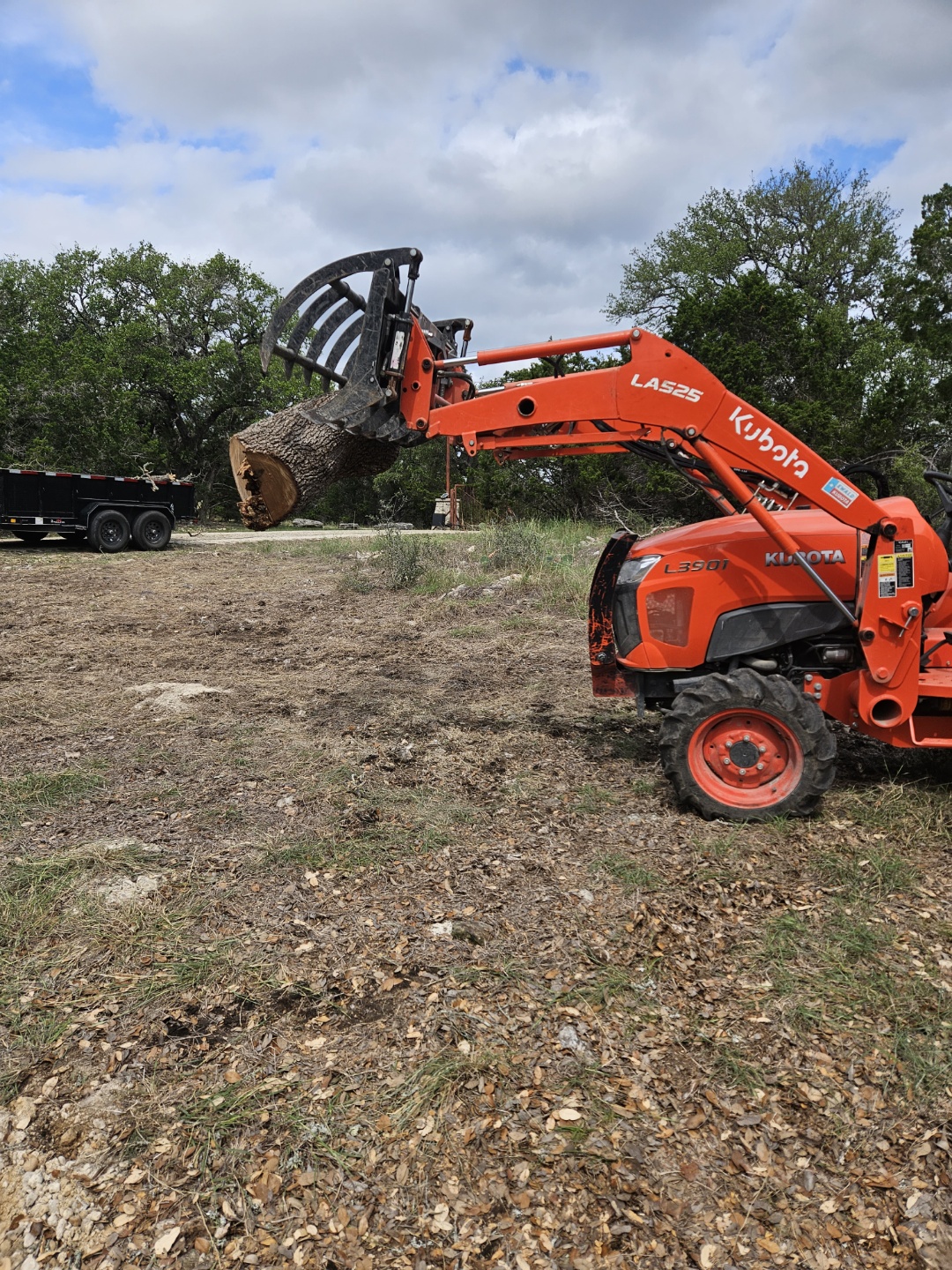 Tree Cutting Service