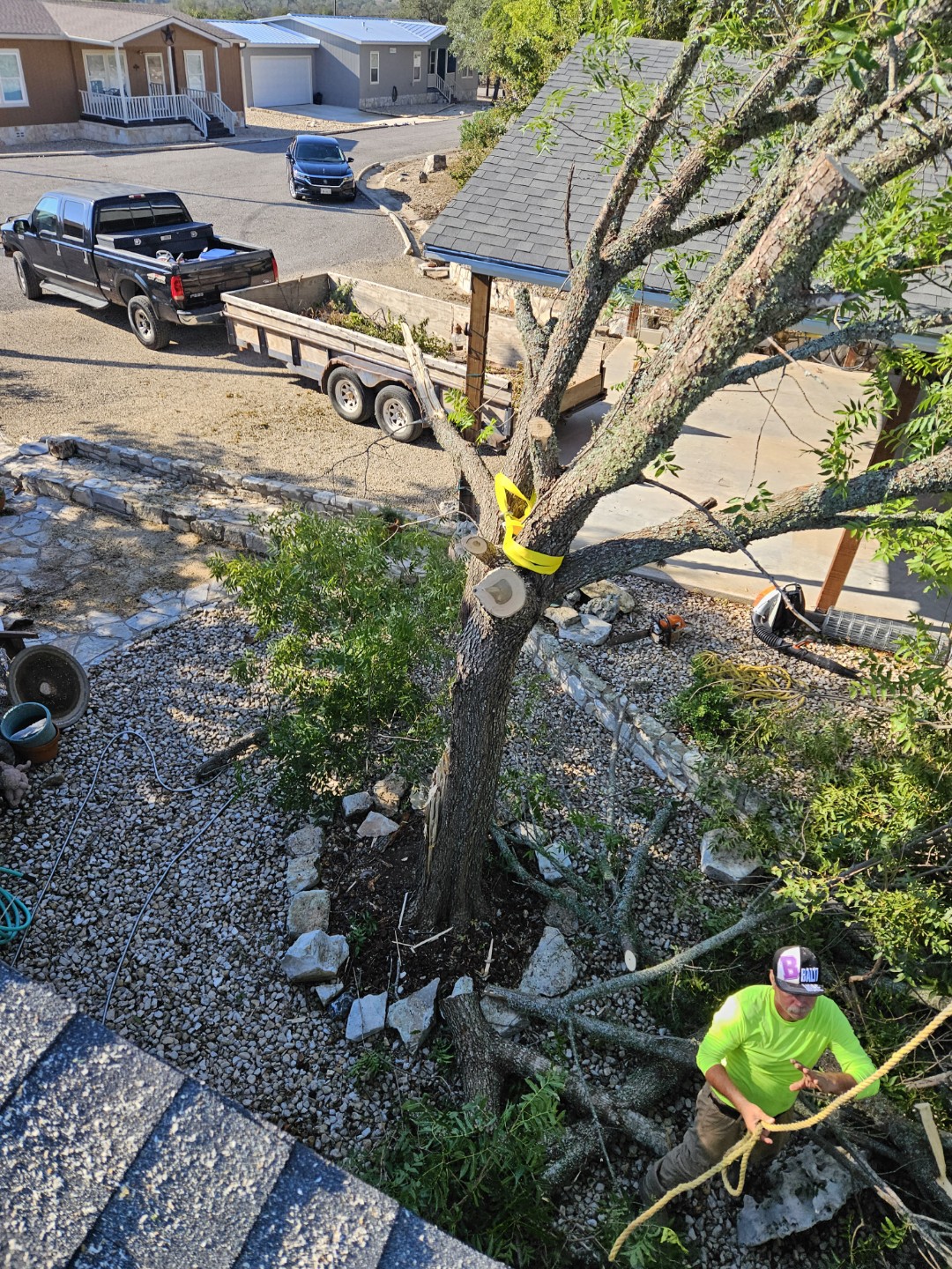 Tree Cutting Service
