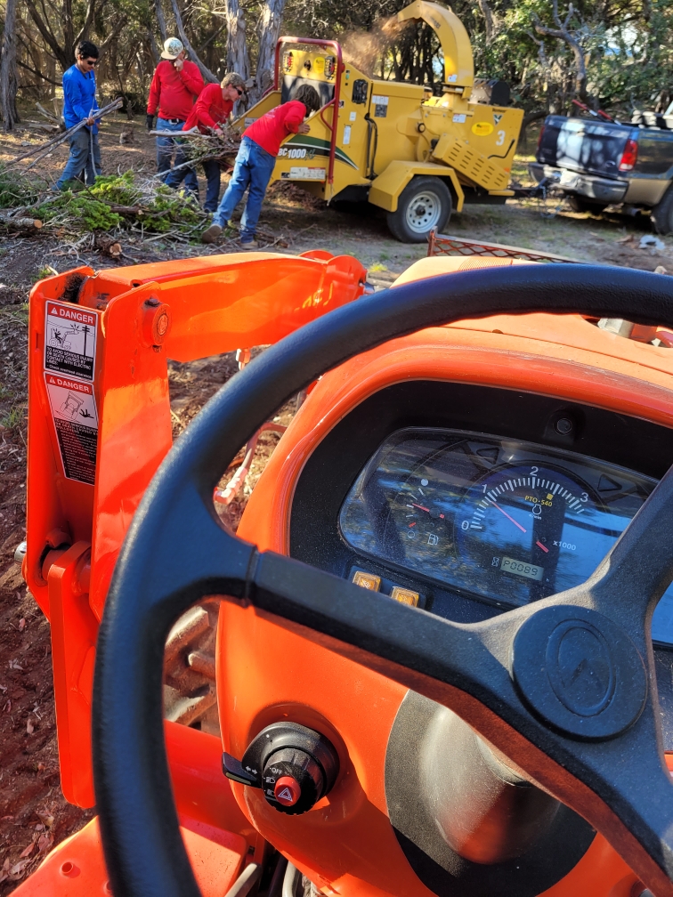 Tree Cutting Service