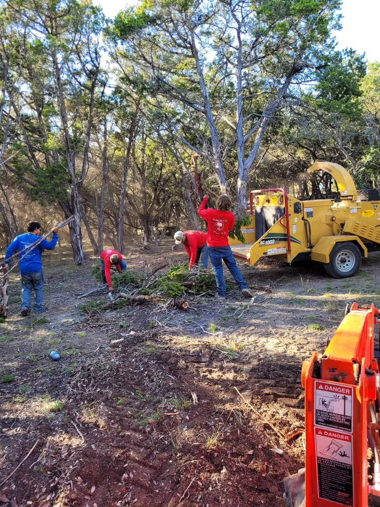 Tree Cutting Service