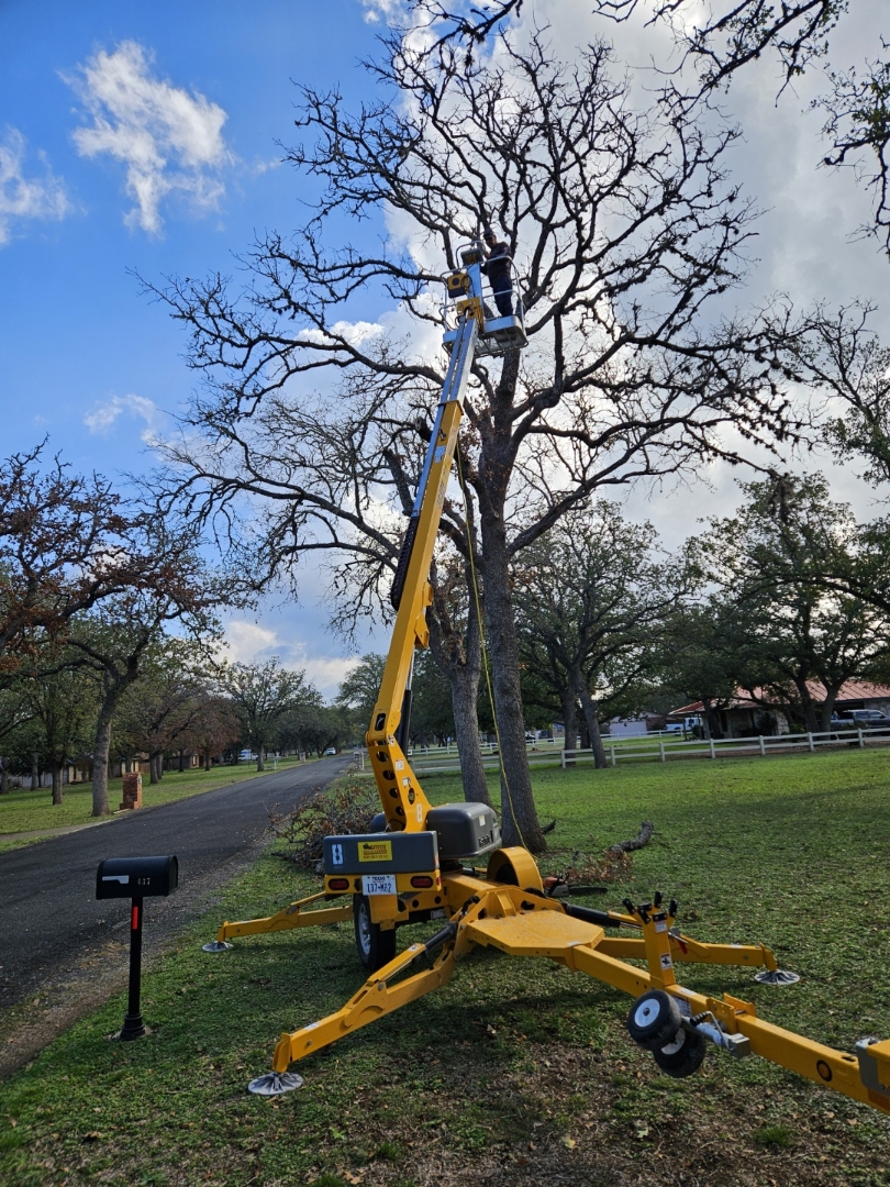 Tree Cutting Service