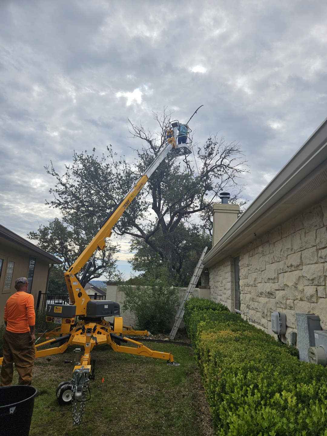 Tree Cutting Service